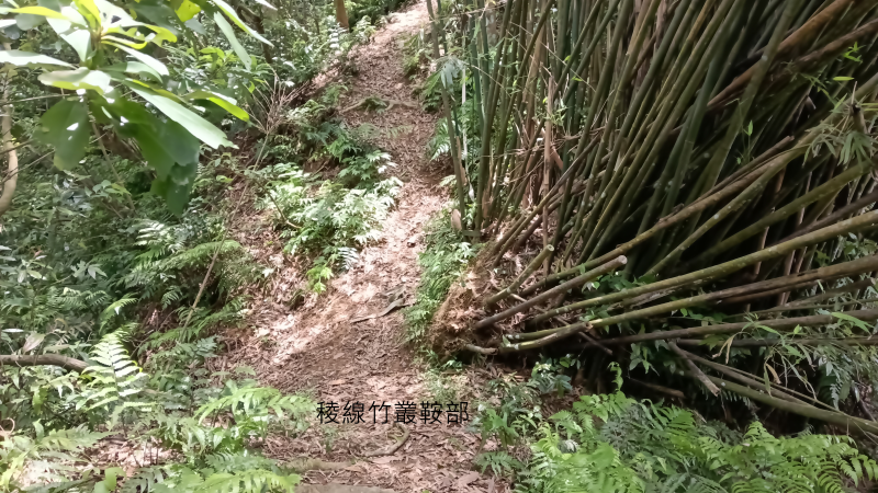 c8504d3e5ce6f68feba485b5d55a658b.png