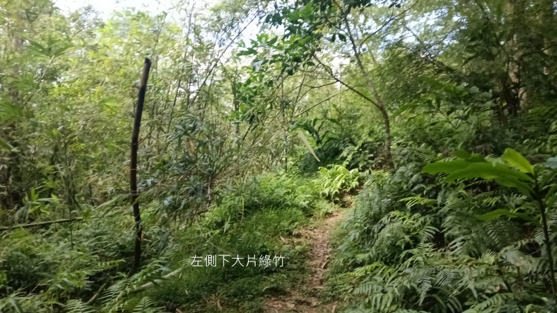 c85cef1d492d267006652a08a2aa6e16.png