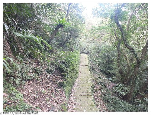 白雲古道 (60).JPG - 康誥坑溪山櫻花