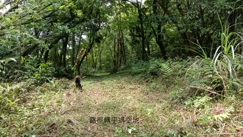 c8f1d82babb70c243f3ea8255d916f04.png