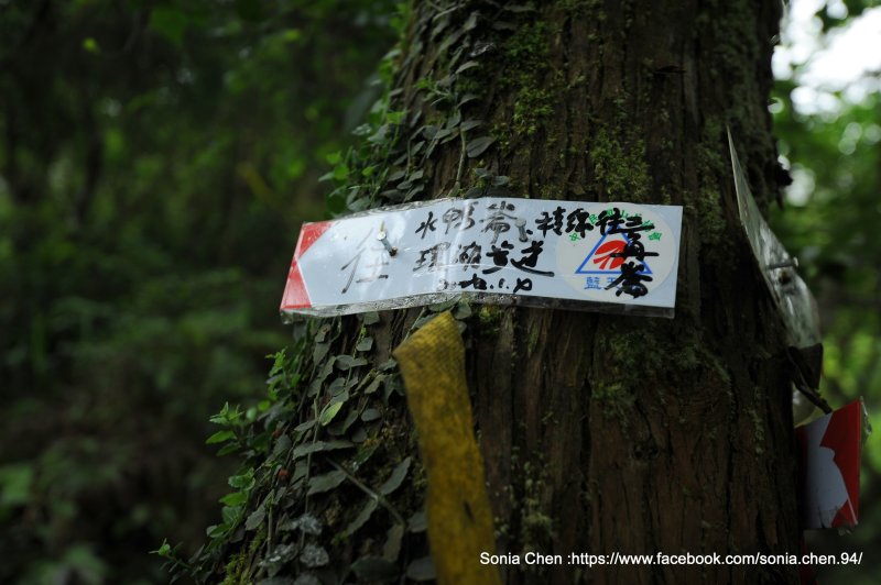 c9356808d402a92b993454fa656283af.jpg