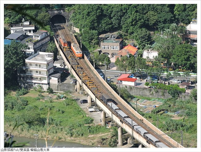 蝙蝠山火車 (69).JPG - 逸仙山看火車