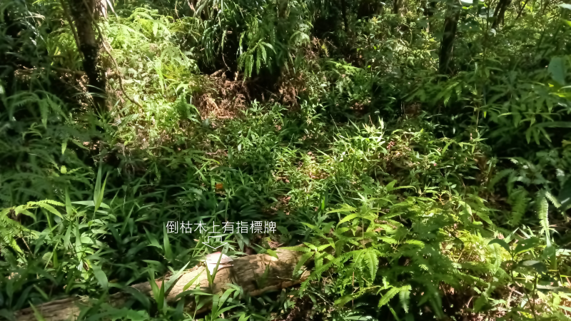 c9664316fe7f705a1a9ff0c0835f849a.png