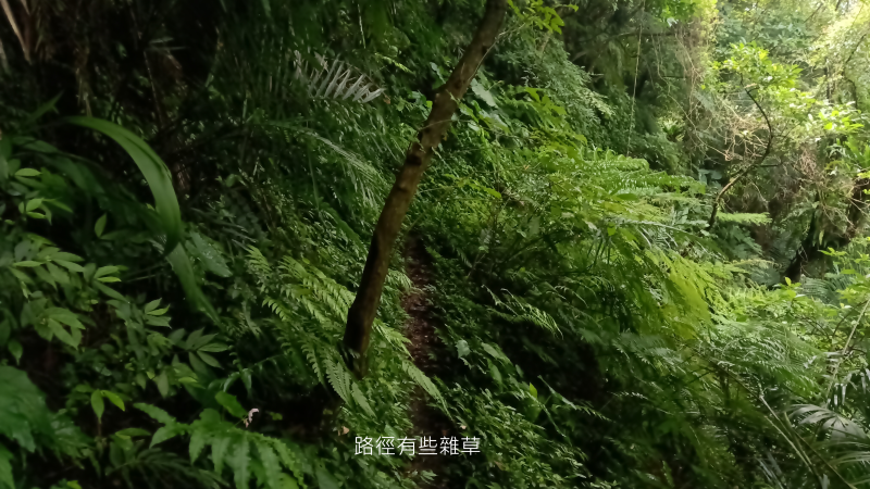 c971e8900372c2d2c4c3c2838b97751e.png