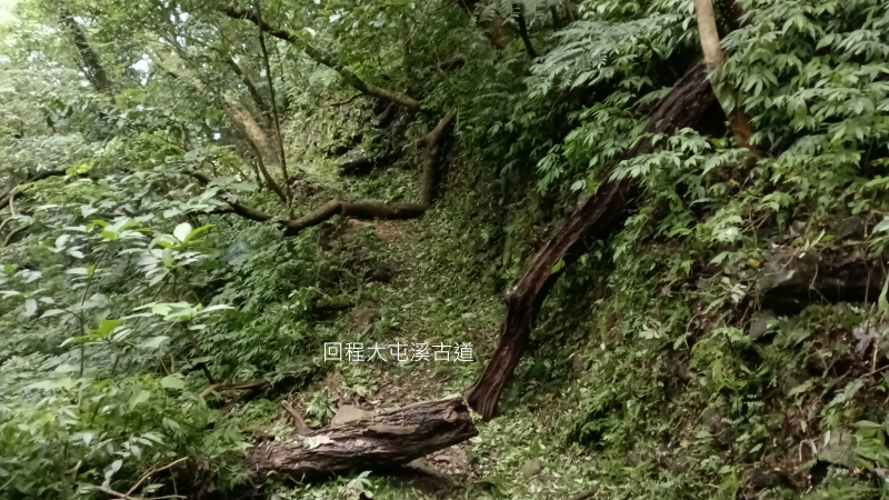 c99ecf266f365d44758de842a1d70267.png