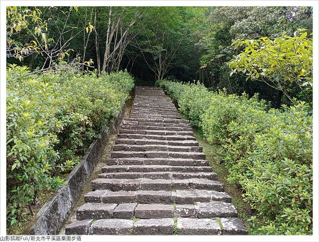 藥園步道 (39).jpg - 藥園步道