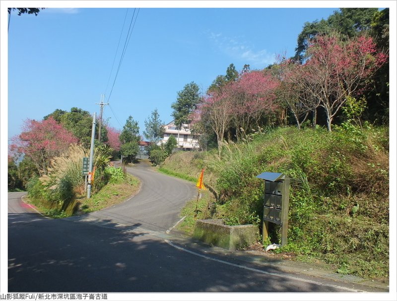 炮子崙古道 (3).JPG - 炮子崙古道