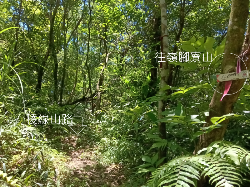 ca23419e7904b842eeef9d526ecab667.png