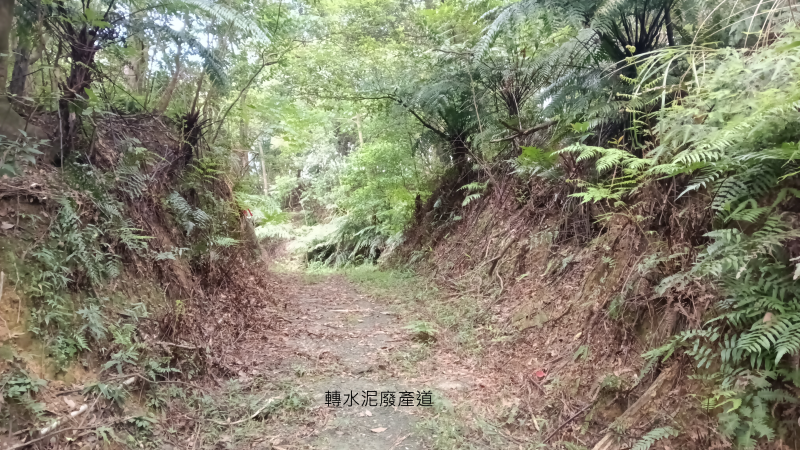 ca24bd1c6f2ef79a2f0fe244b5781f6f.png