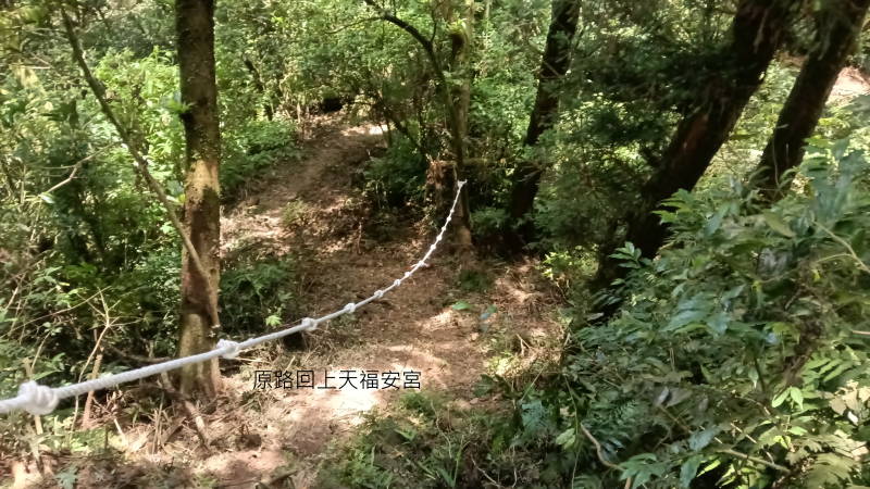 ca24c89611c18069b33ee3812fc26f2f.png