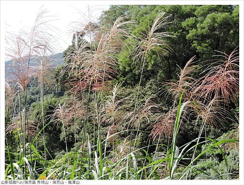 瑞芳三小山 (85).JPG - 瑞芳三小山(秀琦山、瑞芳山、龍潭山)