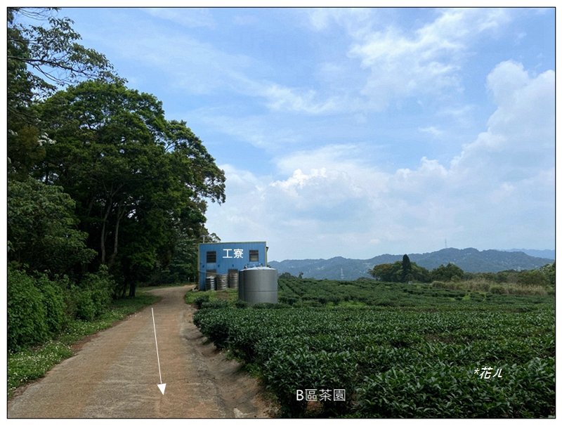 cad06c2dcc6241aad98c63899d6546cb.jpg