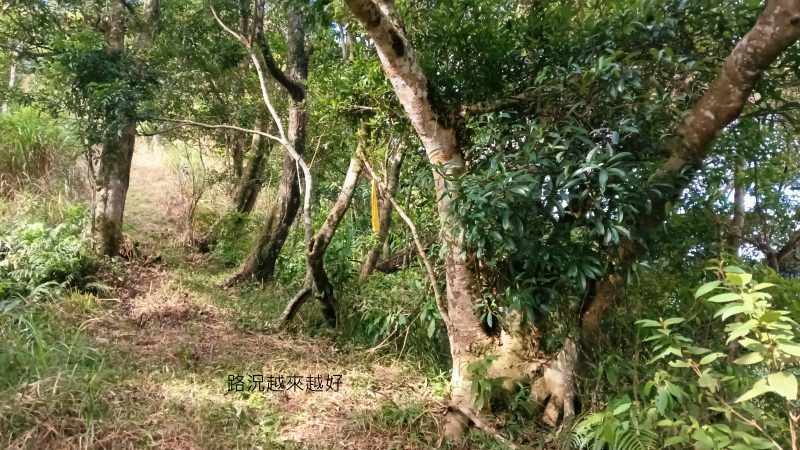 cad28c6afdf43e16f80e184d9993559b.png