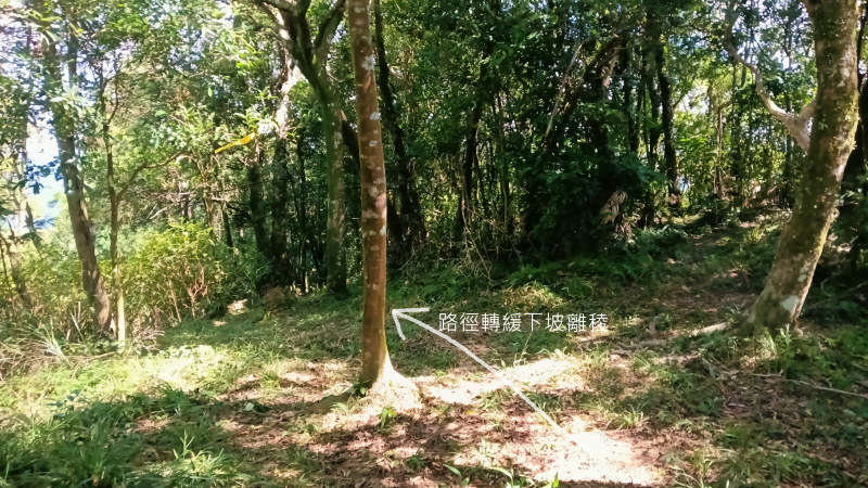 caf362f23b6cc1843f1bbd99c3adb042.png