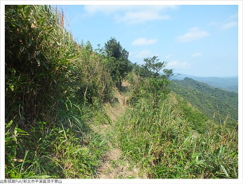 頂子寮山 (15).JPG - 頂子寮山