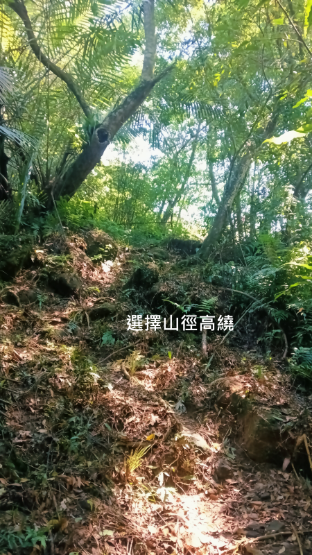 cb446bd8cafa255c2ef541dac2ee5677.png