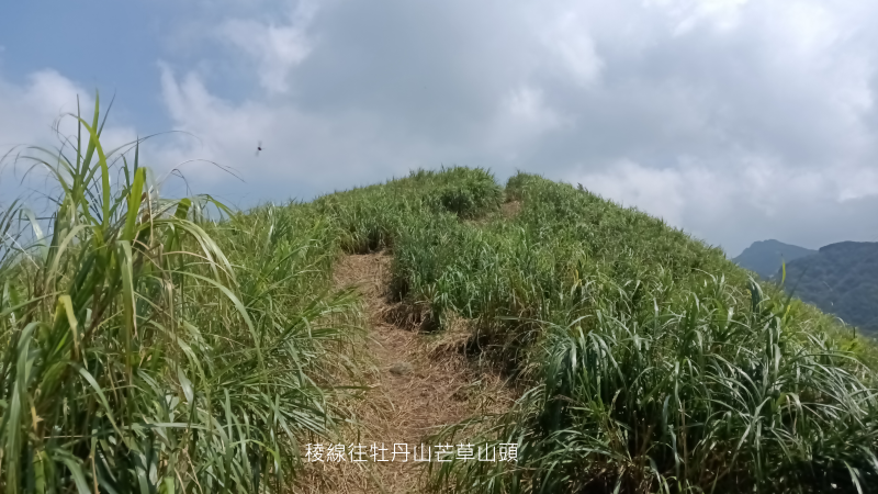 cb829a9f853b623b7a458275eeb9ef81.png