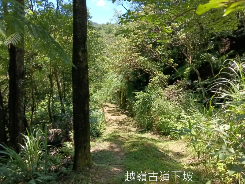 cb8e5360465b7e593c636145c48190be.png