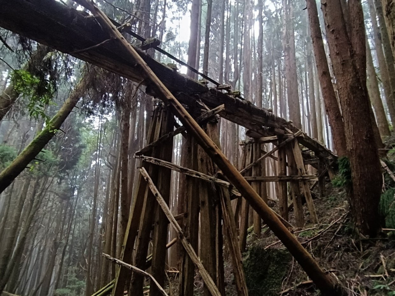 目睹"伊斯基安娜"再現! 消逝的阿里山水山鐵道線經北霞山.東水山出自忠O型縱走,懷舊路線