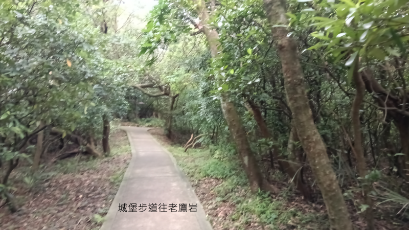 cbe48a463c8c04ec3a19e3dc3e512c54.png