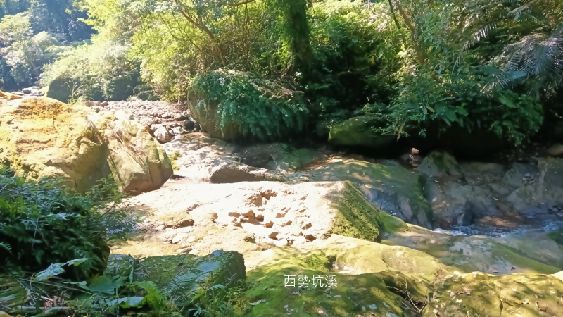 cbfc3cf7d8be0fa8c76fc98d75b3fbd0.png