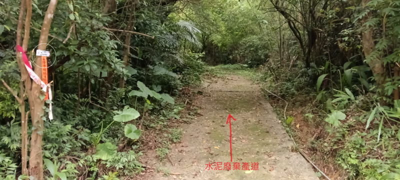 cc388420fcae18bd20088536c586a3cd.png