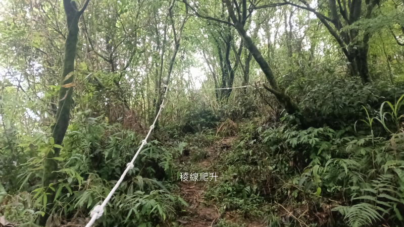 cc42e65ebb31d9a153d8257aa110de13.png