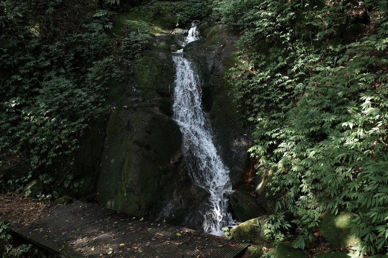 cc635accc5295adad29faa92972ccc32.jpg