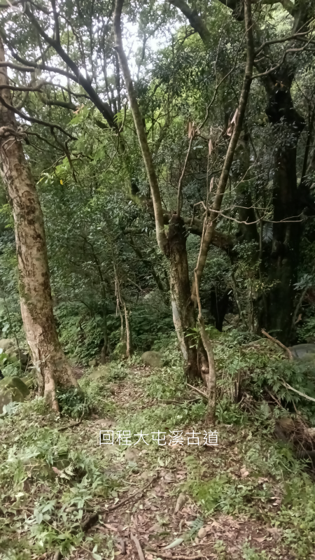 cc90b84edd6080bcf345518d2ff77eef.png