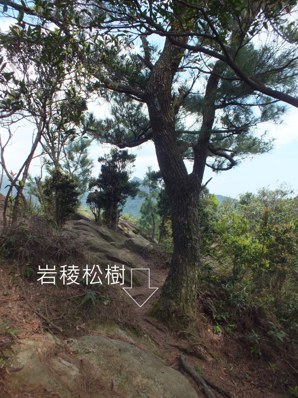 ccbc71a58cf4ed163bcd15de2c1dfc70.jpg