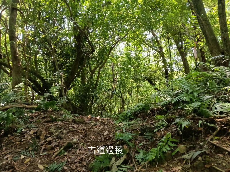 ccc61ec64f7d08db70d3cd6e2d97916d.png