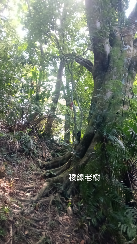 ccdc706107ab6dd0f977c8221214c9df.png