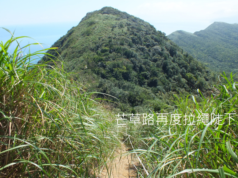ccdede4ed167d04b9183dfee994e4ab2.jpg