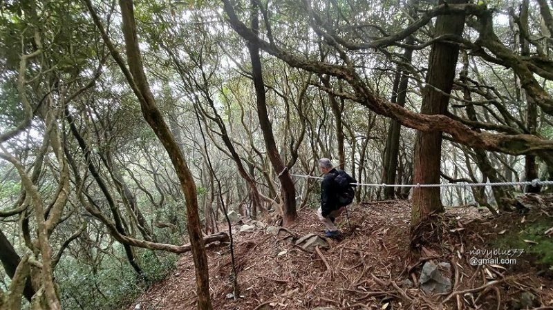 沙蓮山橫嶺山 (85).jpg