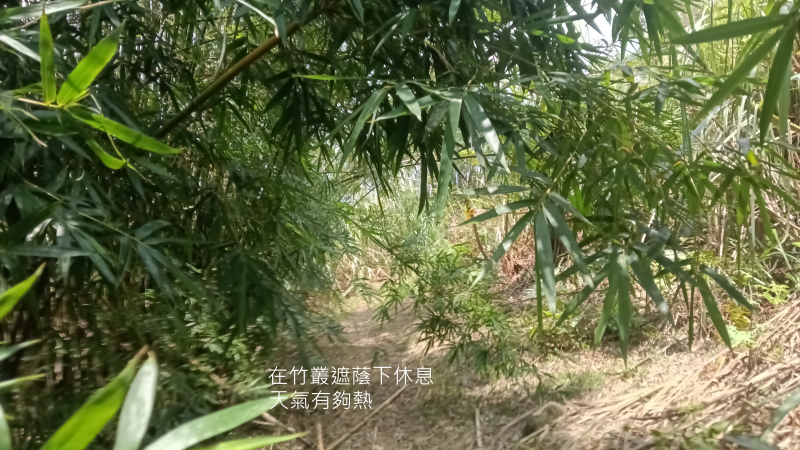 cdcbd6a0a94b6f132cf7699749bdf90f.png