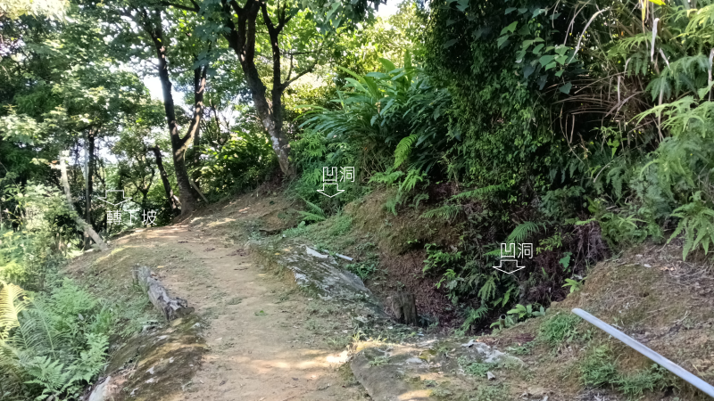 cdcc628c0d66bd5434f080a21cd2a277.png