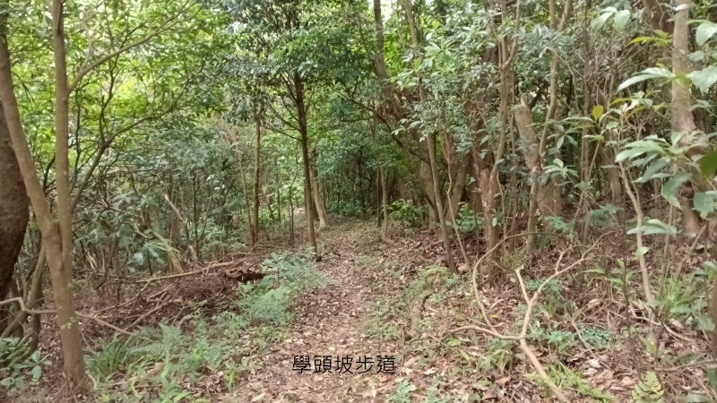 cdf041fc85f2110d5e7030feddbefc87.png