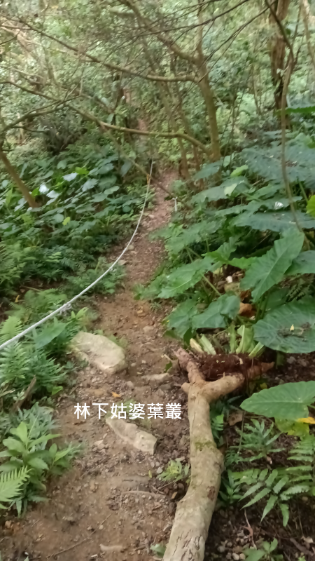 ce23d274e41e95dbbbc025584128ca2d.png