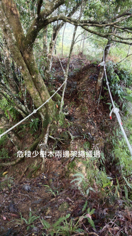 ced9011804848a85e82c1dacc4973f11.png