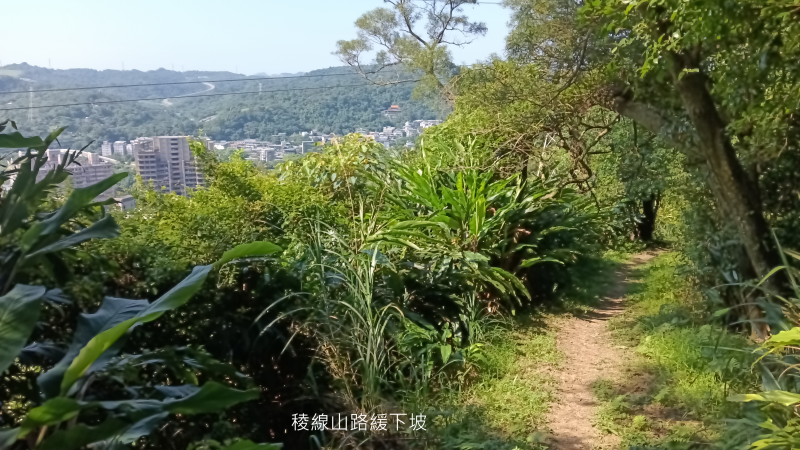 cf4870888d9aec50b5e7490692216b72.png