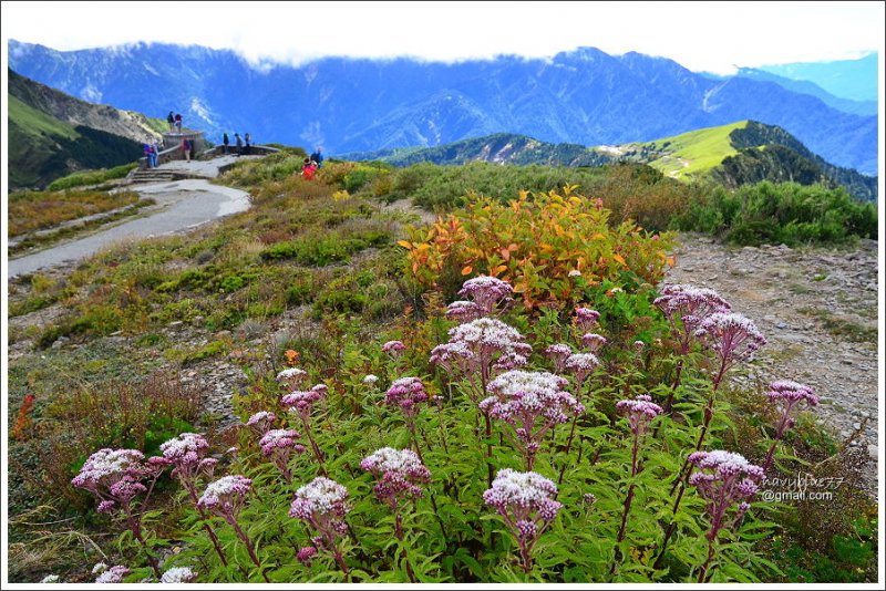 合歡山石門山哈哈山 (30).JPG