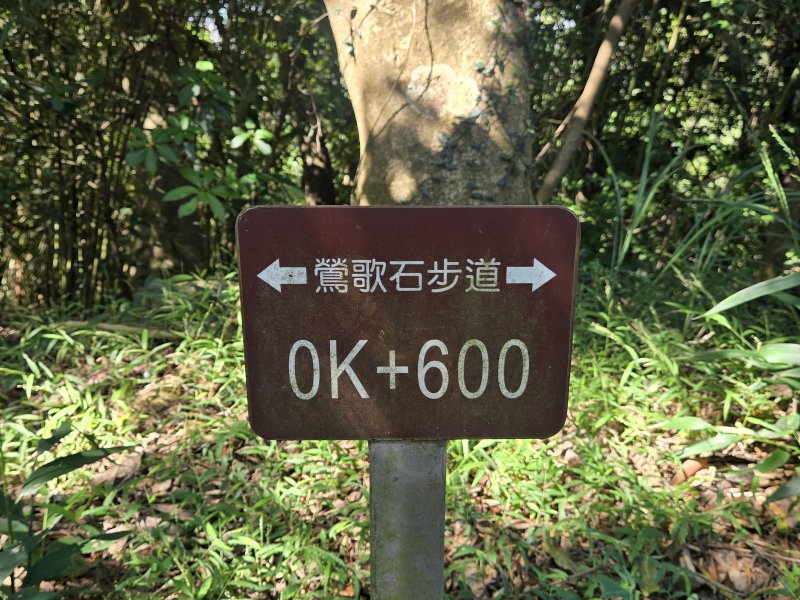 d046a0a95336f8b43a711883fe8e8bc2.jpg