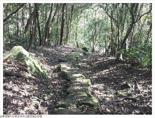 五指山古道 (25).JPG - 五指山古道