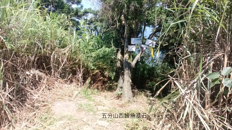 d0872cd78599957e35a9b19fe09e9cdb.png