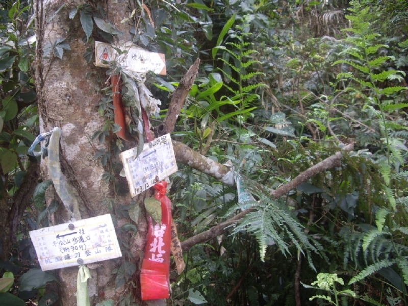 IMGP9123.JPG - 苗栗泰安冬瓜山步道