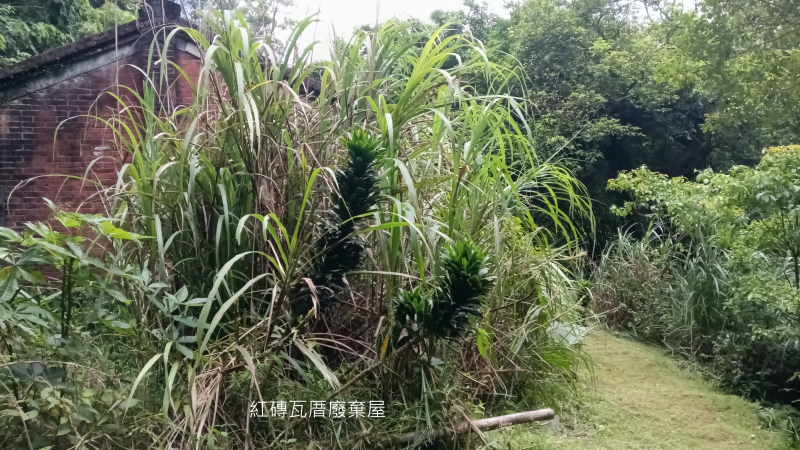 d0b8ec7720c5feaac0a70e2373a803f8.png
