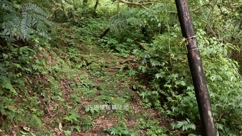 d103d5f0262ebbccc601020e74aa111f.png