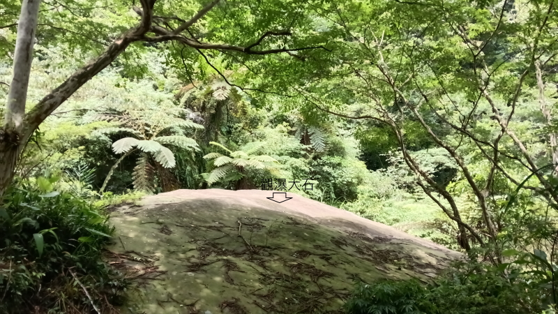 d142ae7491f8512c9dae722b95ec0973.png