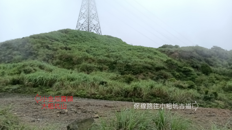 d16a6b44386498112054963b9773506a.png