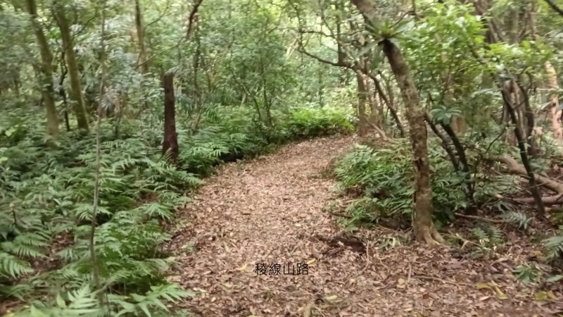 d1763420c0b185de30c7e6a87efc04f5.png